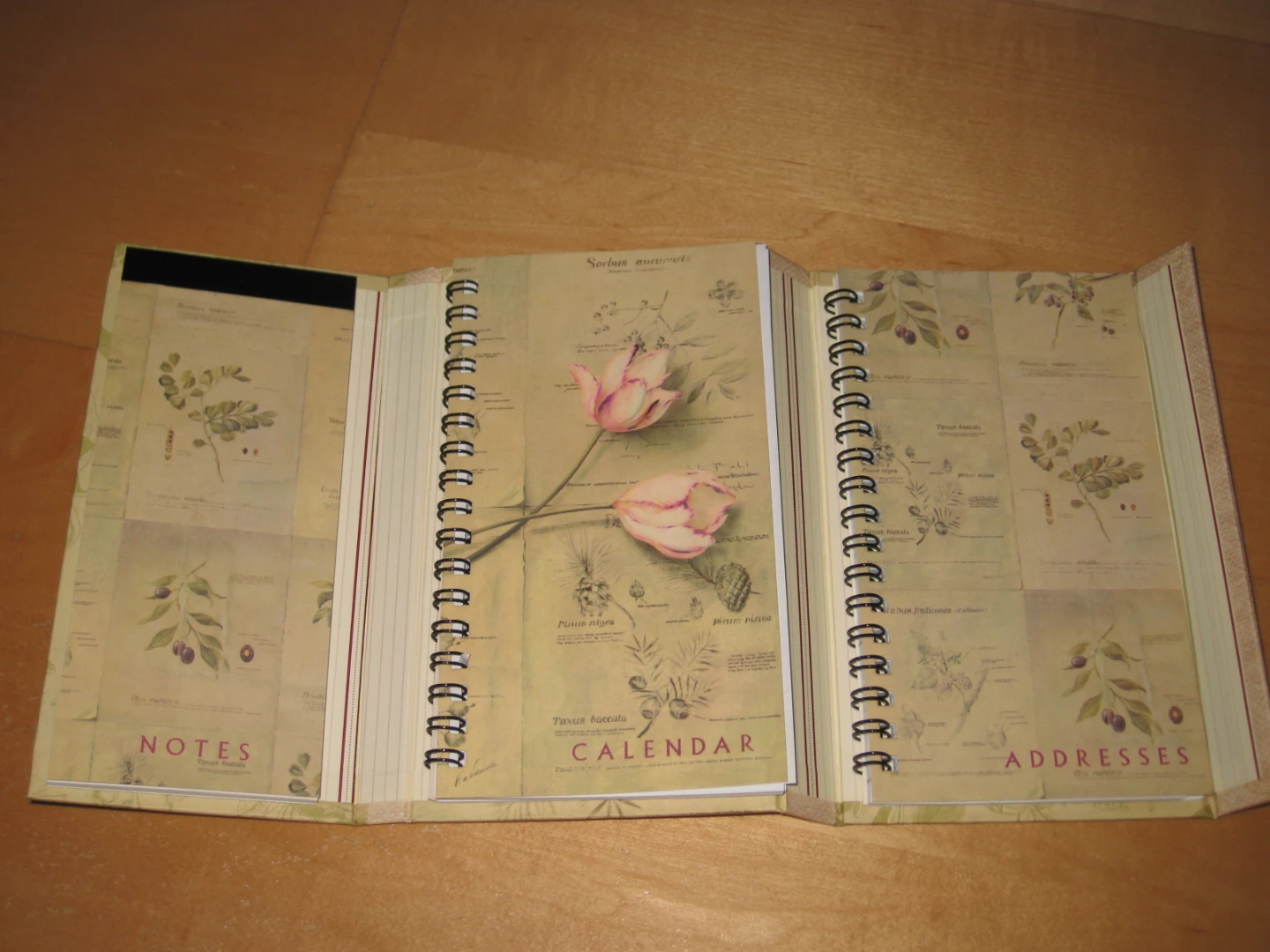 NEW Tri Coastal Notebook Magnetic Daily Agenda Organizer