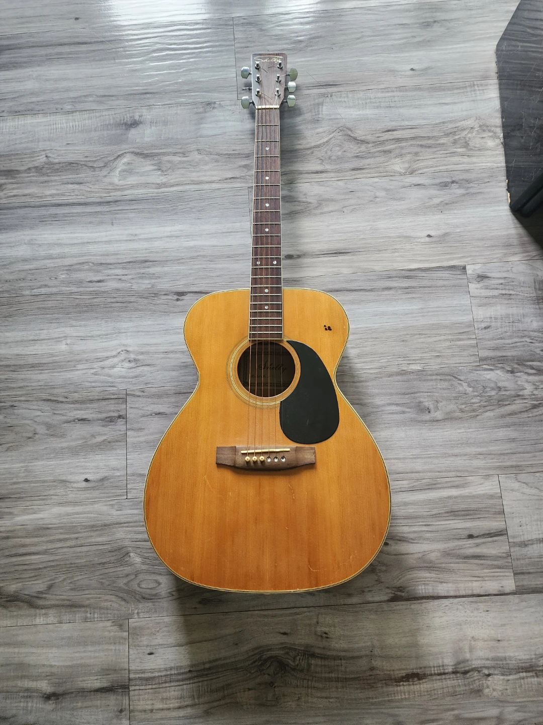 Shelby Acoustic Guitar