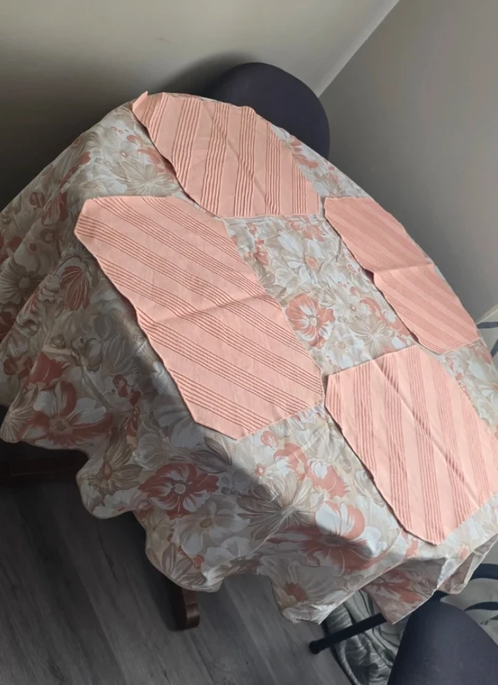 Tablecloth and Set of 4 Peach Placemats - photo 2