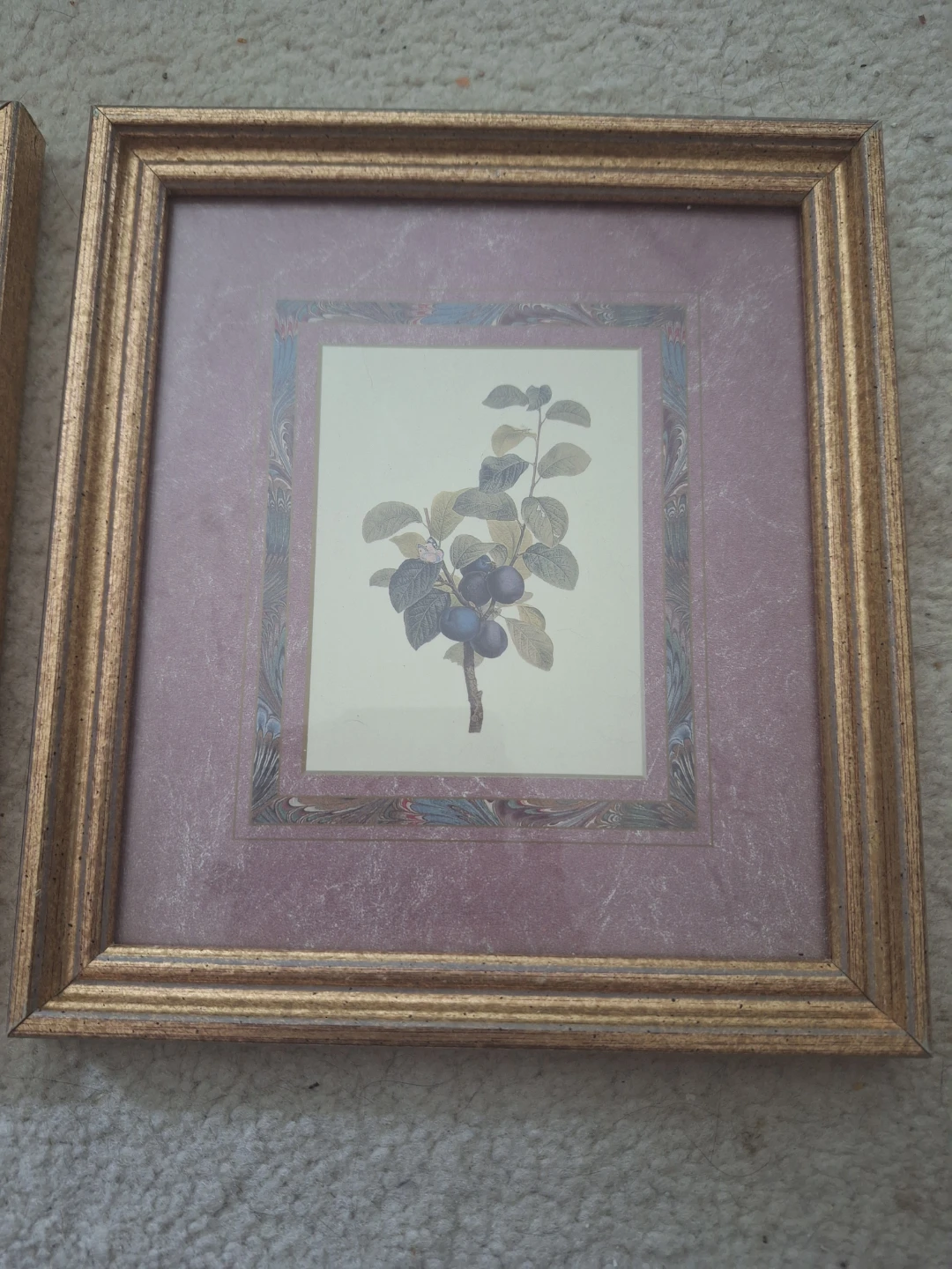Set of 2 Framed Botanical Prints 🍇 - photo 4