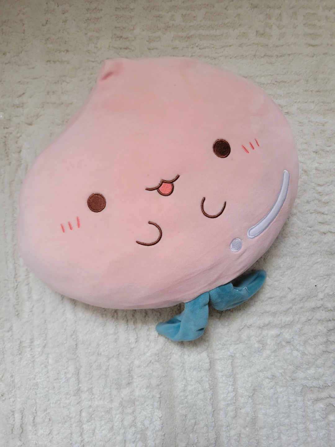 Pink Peach Plush Pillow