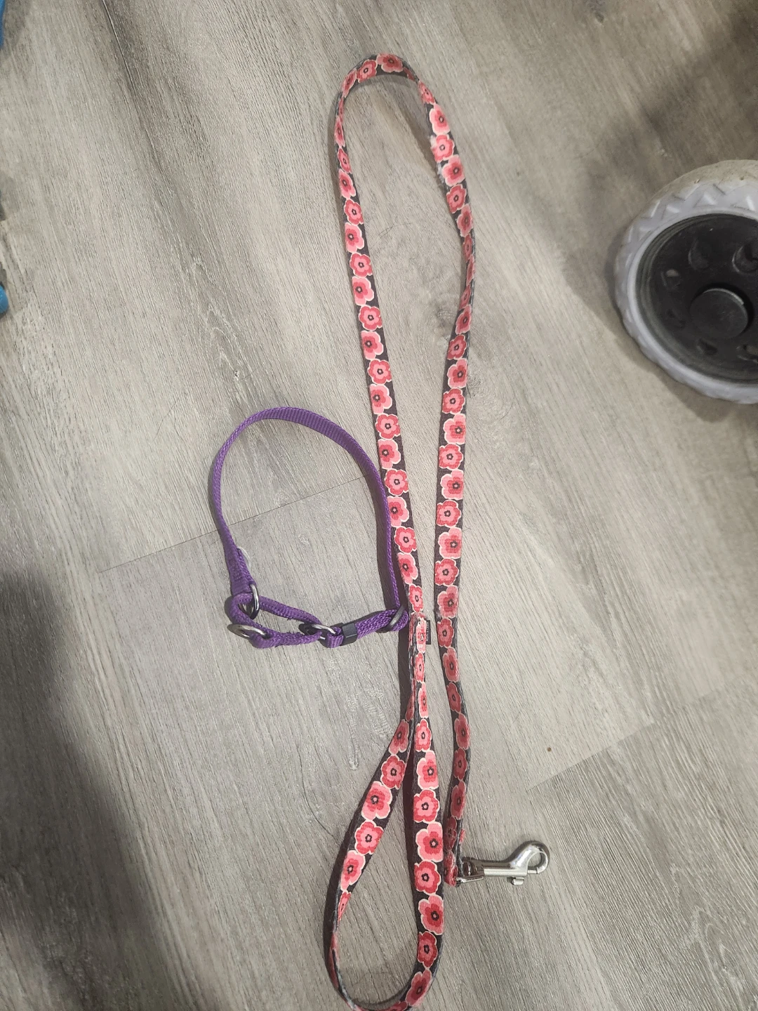 Dog Leash and Collar Set