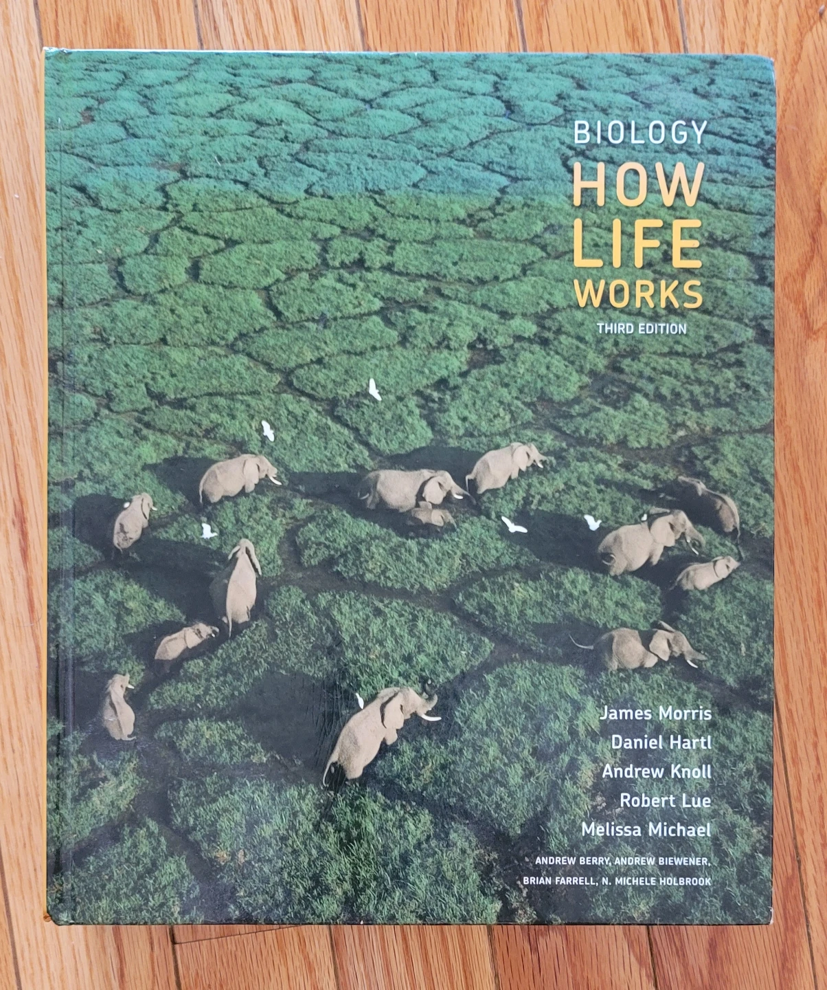 Biology How Life Works Third Edition - Hard Cover Version