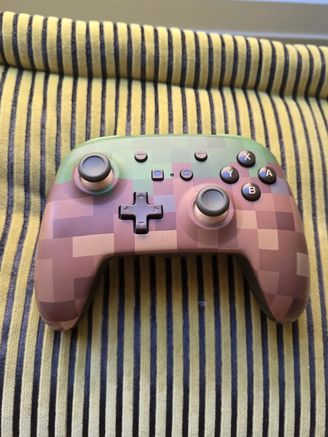 Nintendo switch  Minecraft pro controller