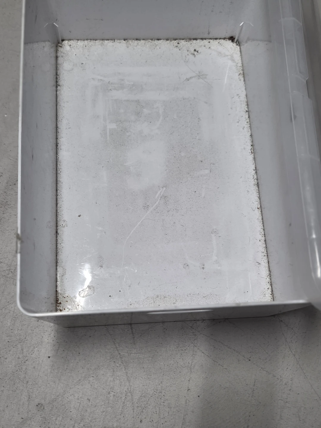 Plastic Storage Bin with Lid - photo 2