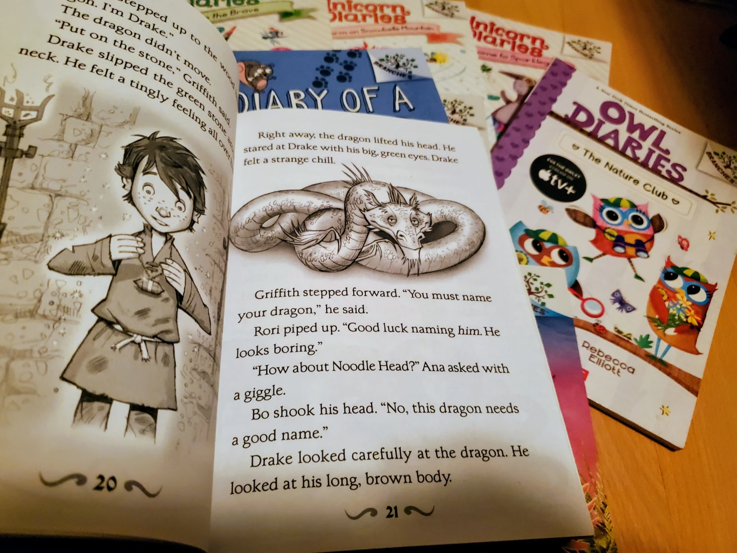 ($3 each, or $20 for all 10 books) 10 Illustrated Chapter Books - photo 4