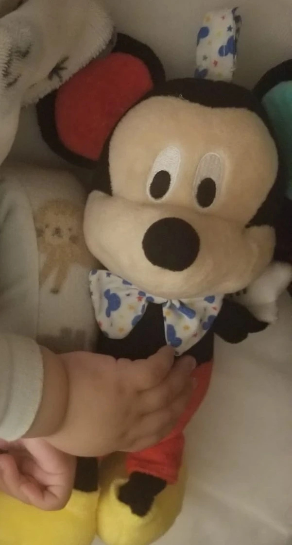 Disney Mickey Mouse Plush Toy