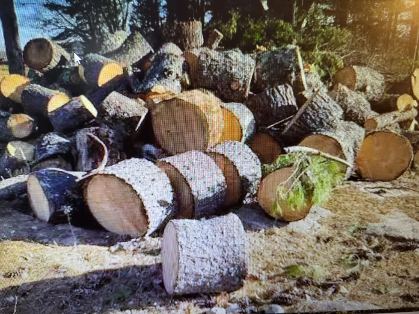 Firewood Logs $40 a cord