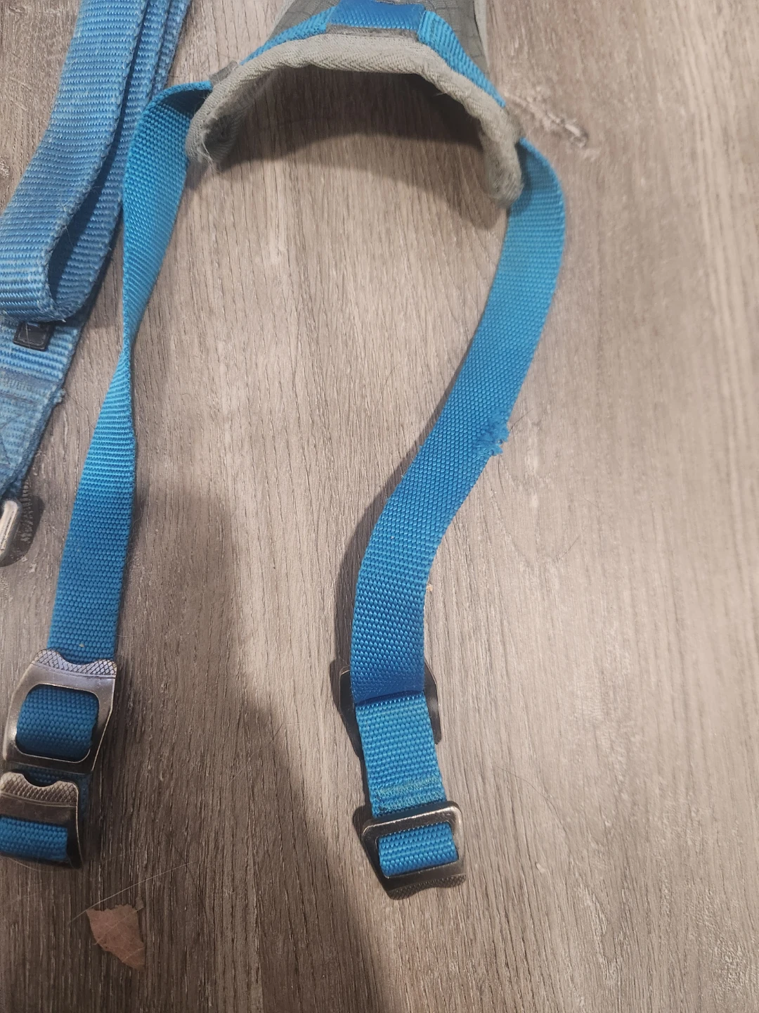 Play! Dog Harness and Leash Set - Blue/Grey - photo 2