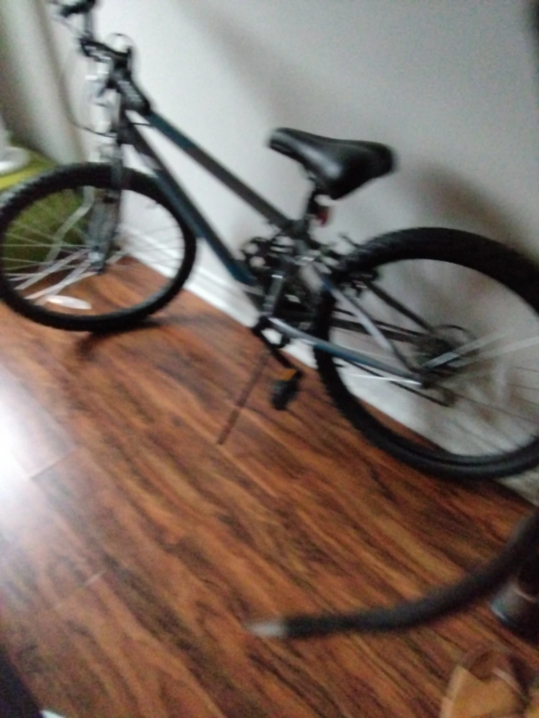 Blue Mountain Bike