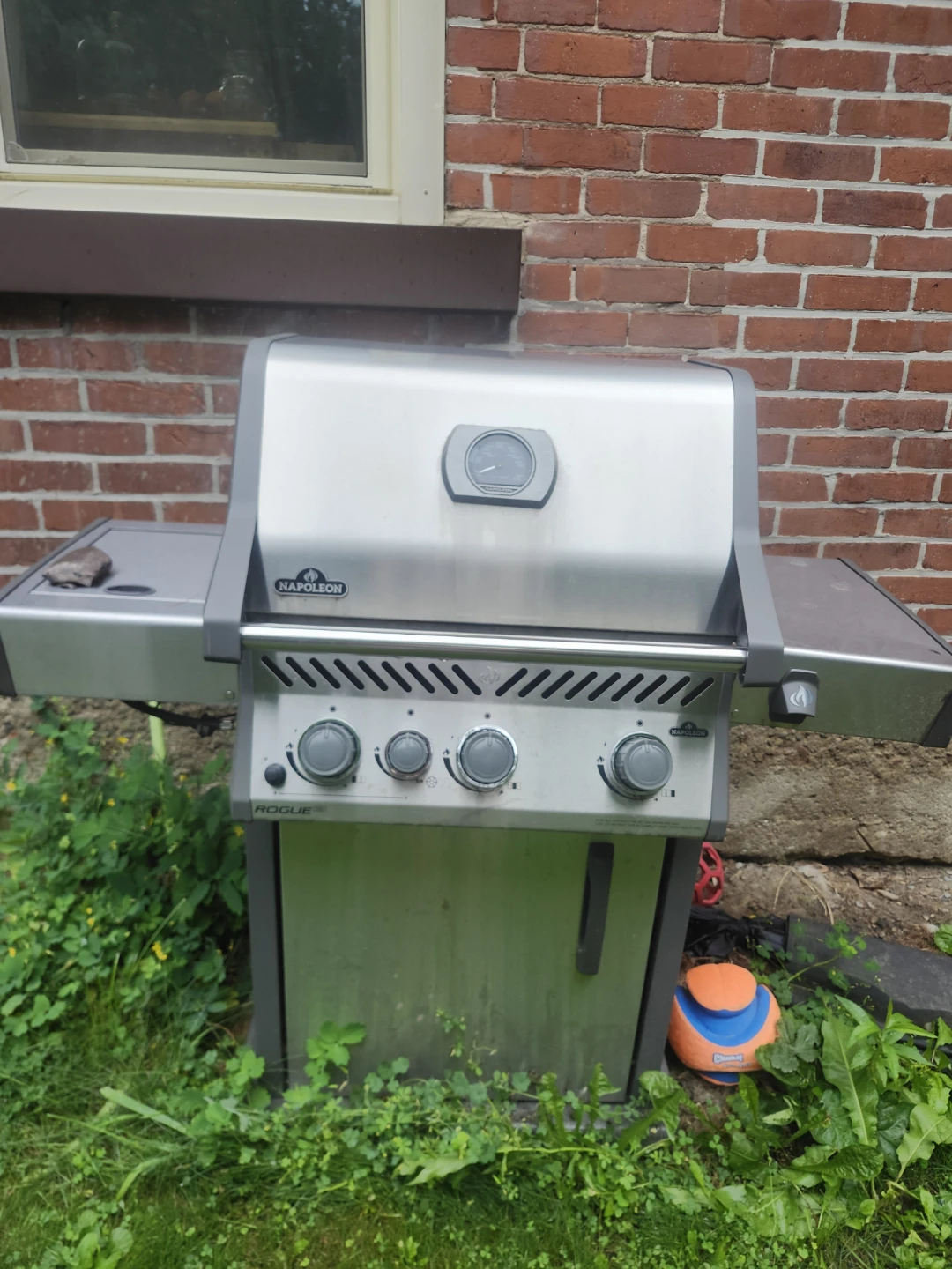 Napoleon Rogue Gas Grill
