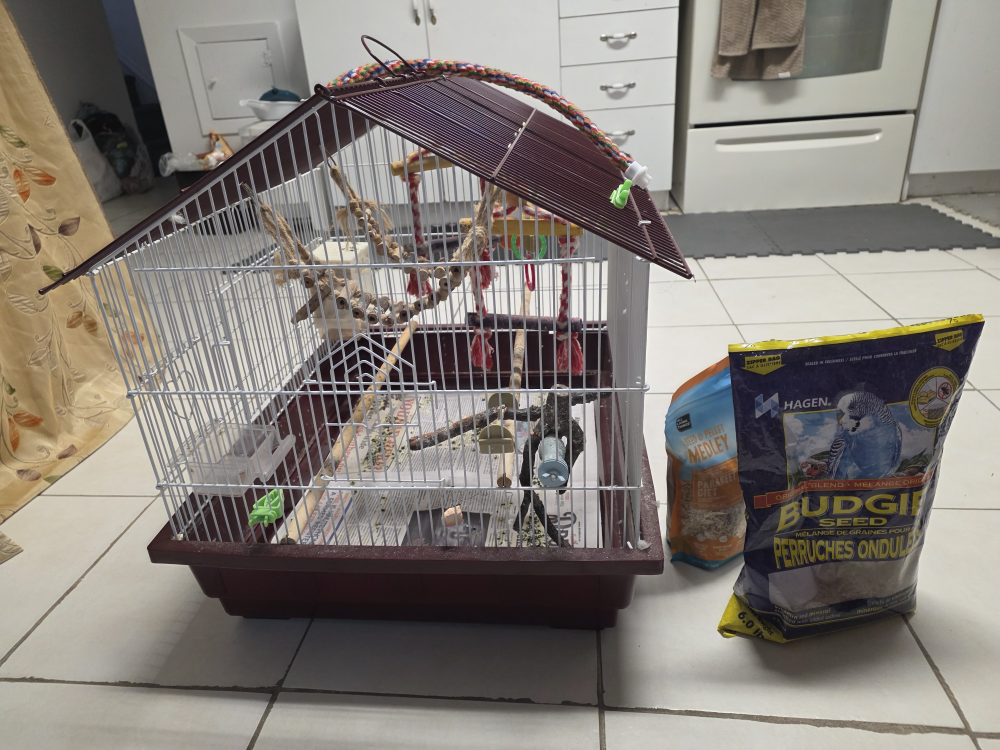 Bird Cage with Perches and Accessories