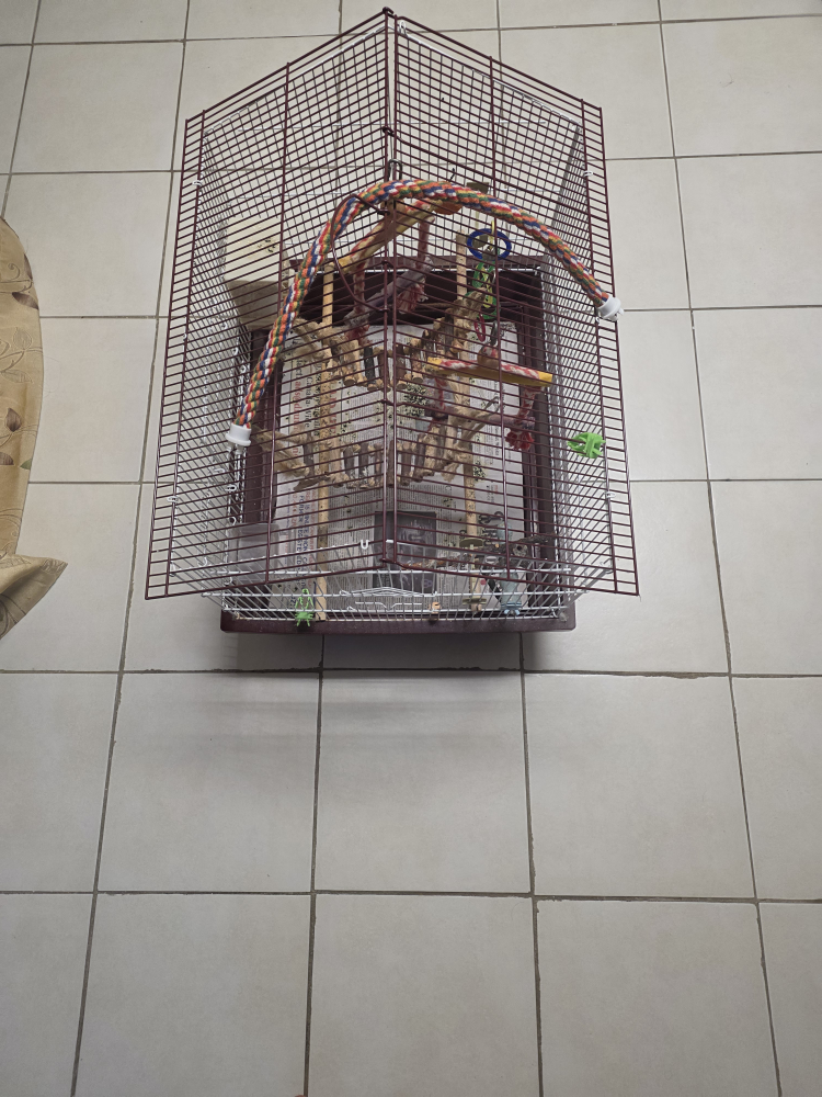 Bird Cage with Perches and Accessories - photo 4