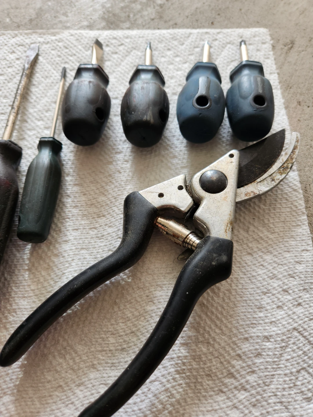 Craftsman Screwdriver Set & Pruners,11 pcs - photo 3