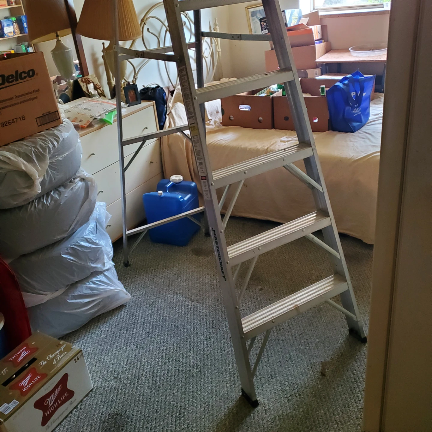 Mastercraft Step Ladder