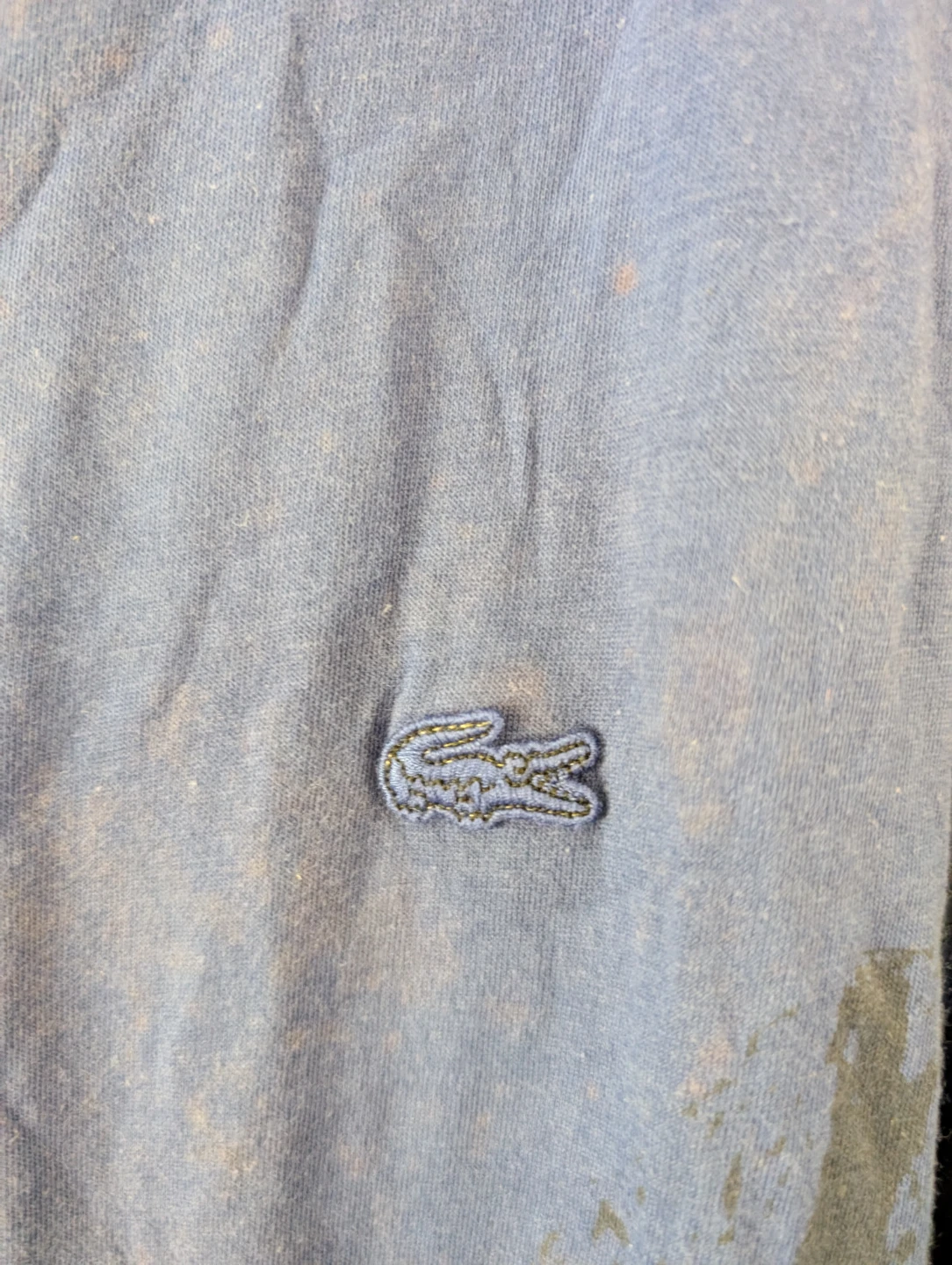 Lacoste Long Sleeve Shirt Graphic Mountain Long Sleeve - photo 3