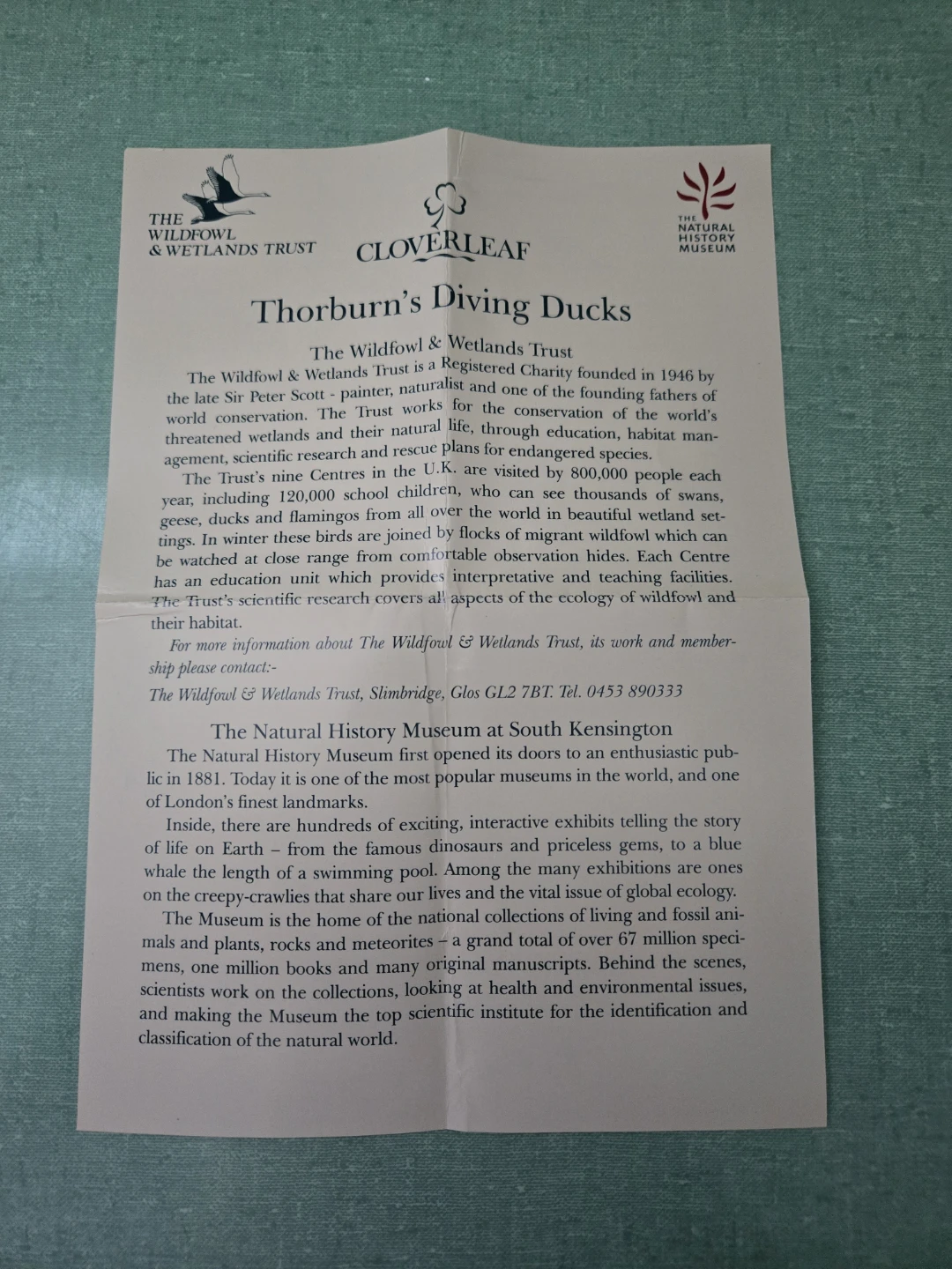 CLOVERLEAF * Thorburn * DIVING DUCKS * Six (6) COASTERS - photo 3