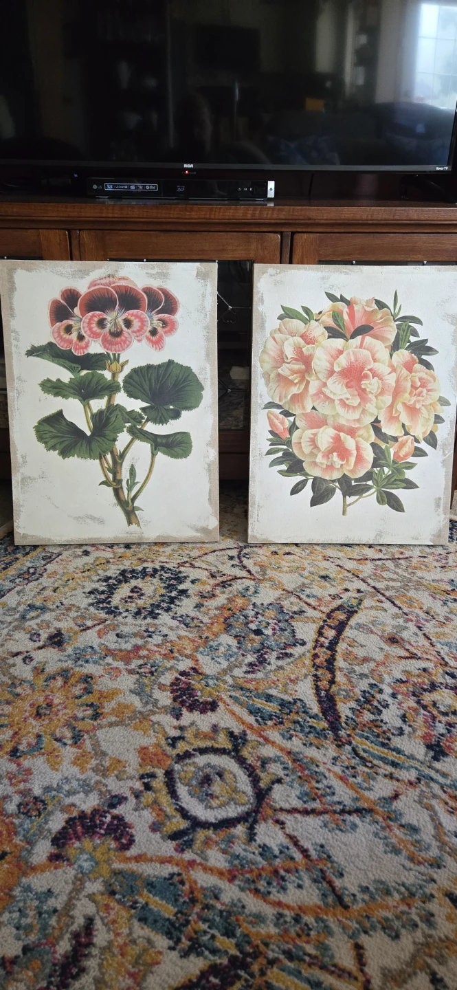 Set of 2 Botanical Canvas Collezione Fresco Prints
