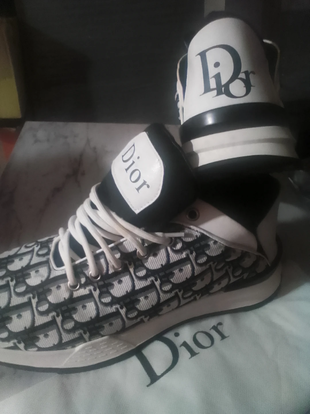 Dior sneakers