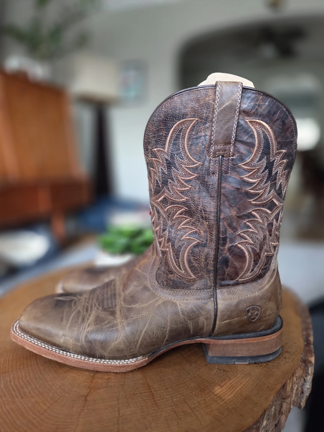 Men's ARIAT Boots