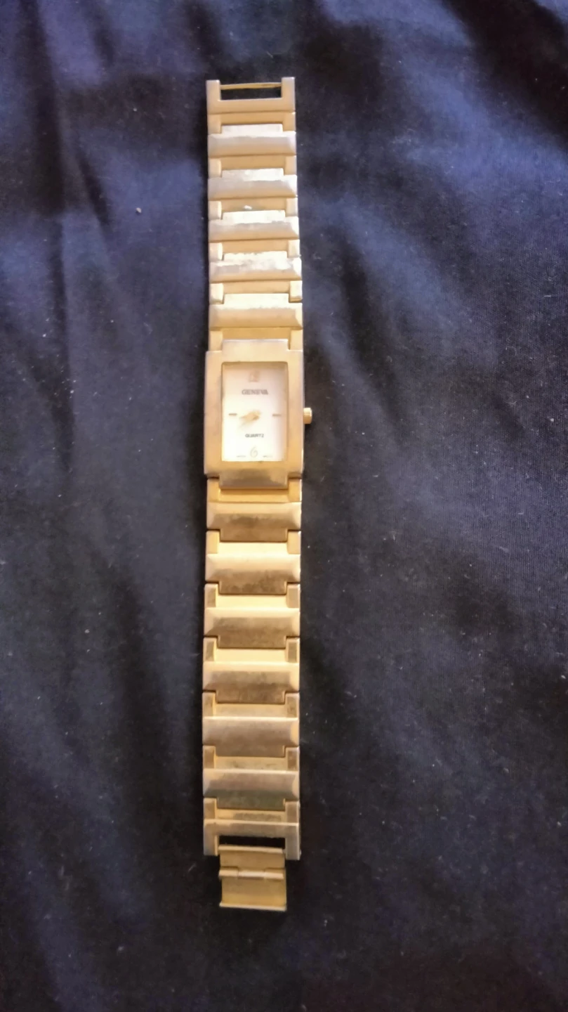 Geneva Quartz Gold Tone Women's Watch