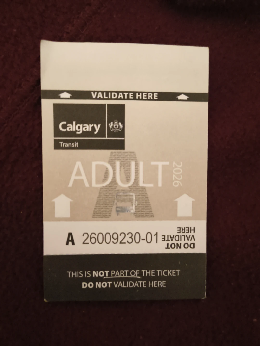 10 bus tickets
