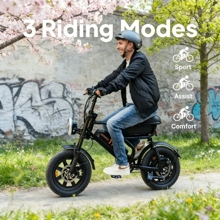 Electric Bicycle with 3 Riding Modes