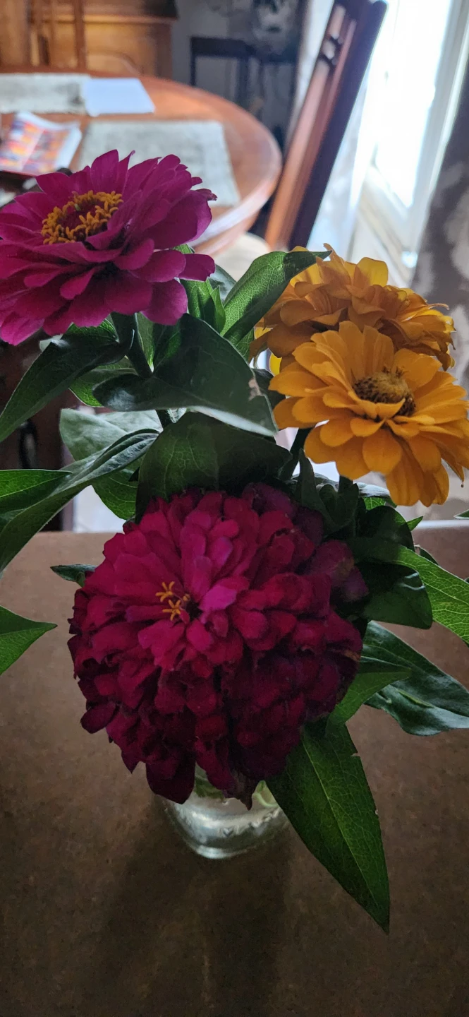 Mixed Zinnias Bouquet - photo 5
