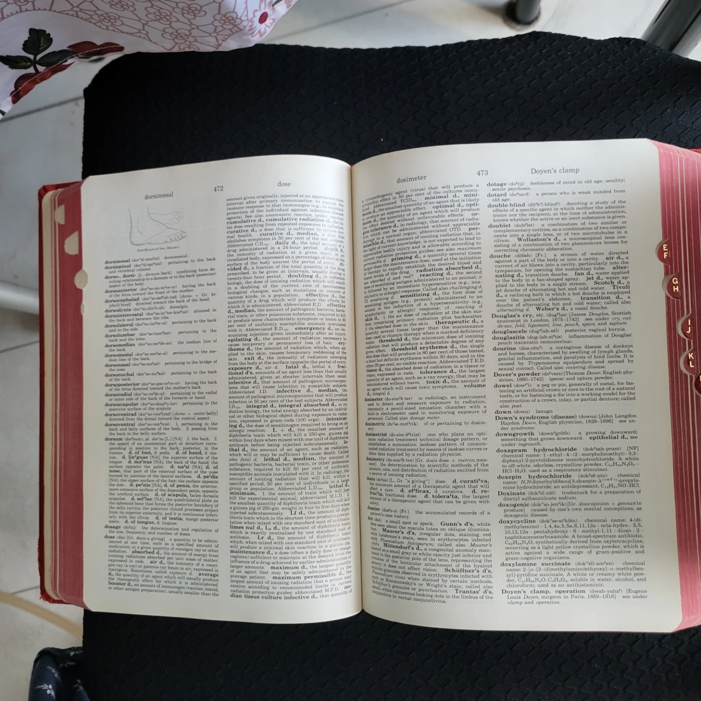Dorland's Illustrated Medical Dictionary 25th Edition - photo 3