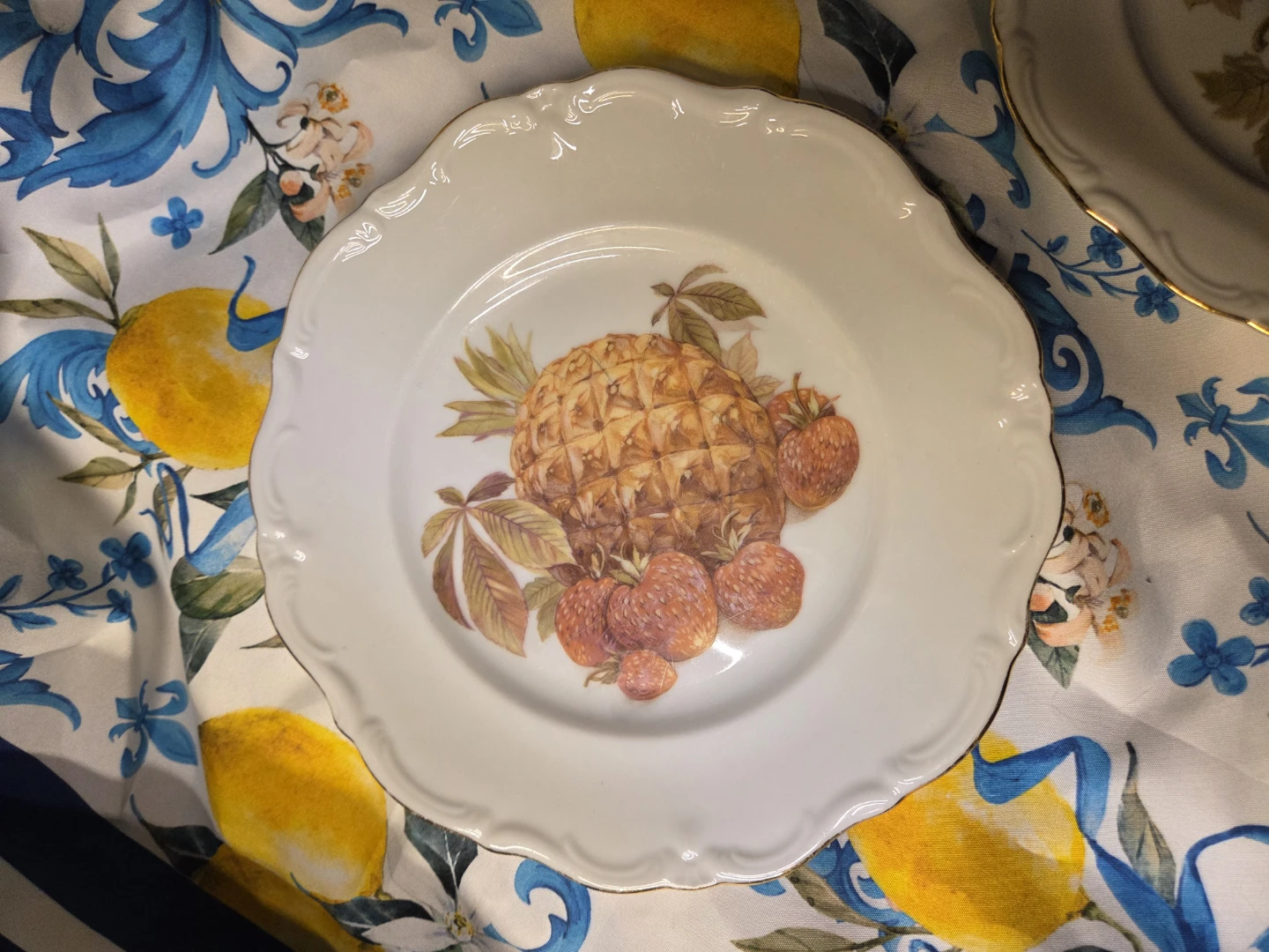 Winterling Roslau Porcelain Plate set of 3 - Fruit Design - photo 2