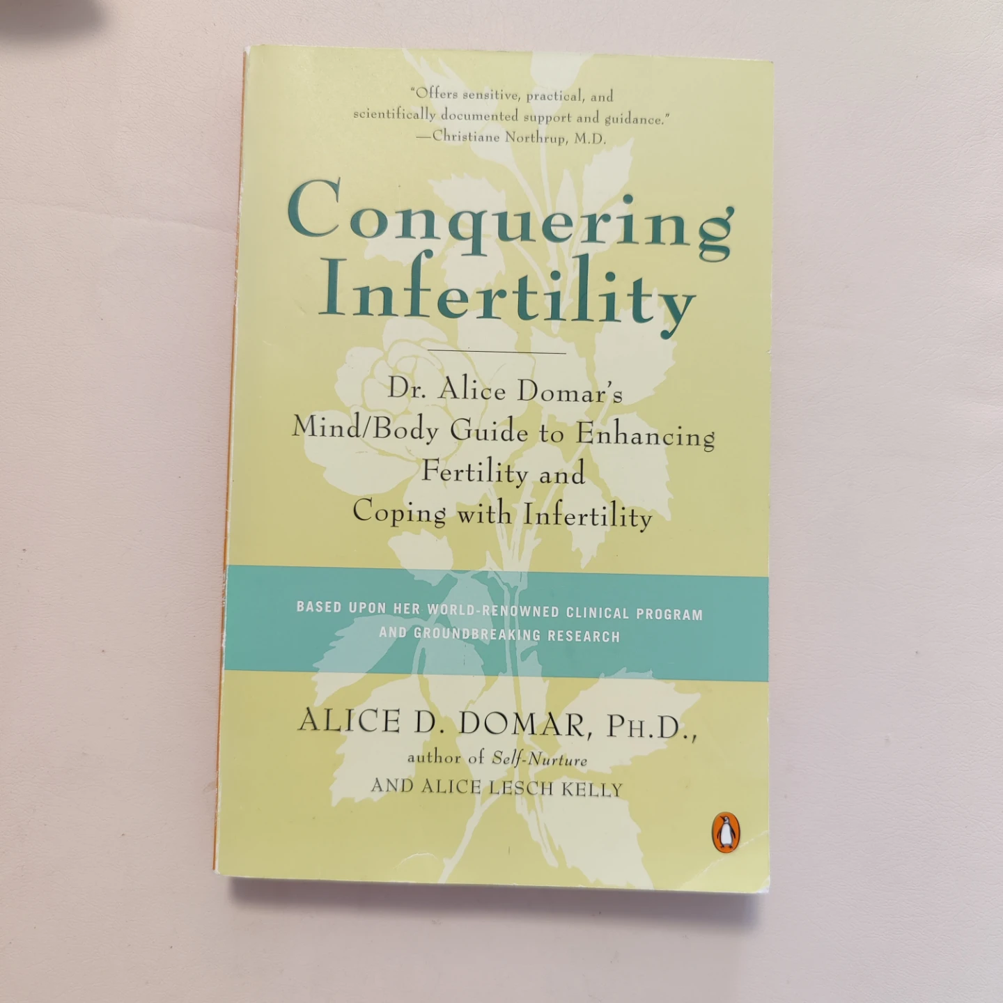 Conquering Infertility book