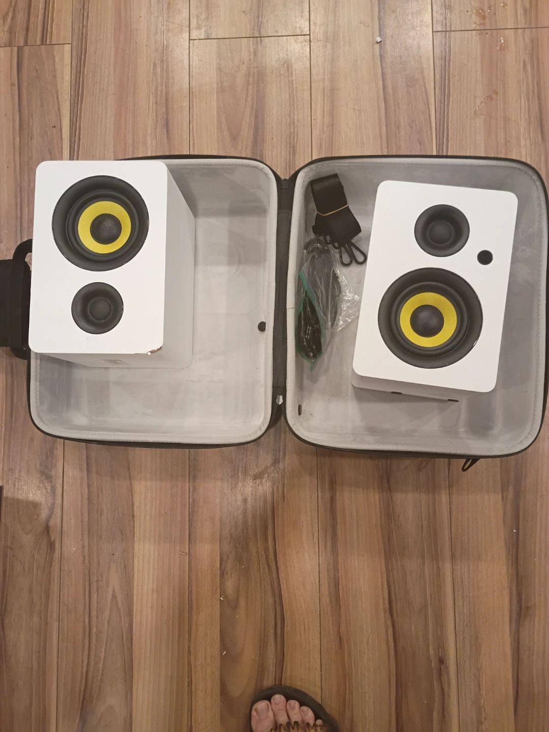 Samson Studio Monitors with Case