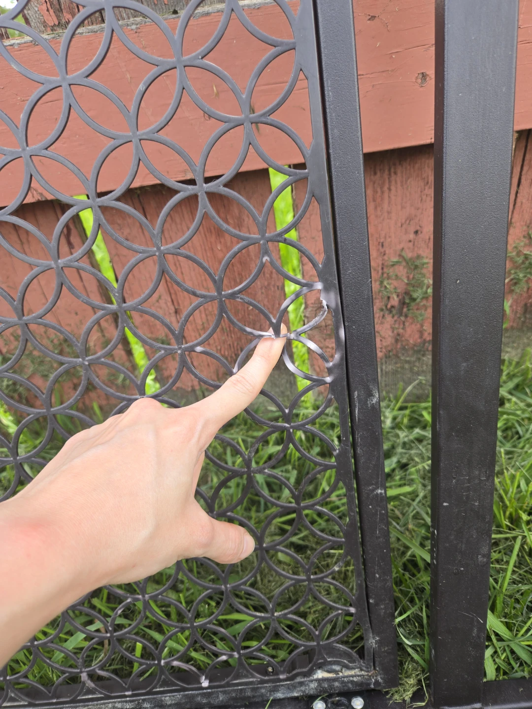 Baby Gate - photo 3