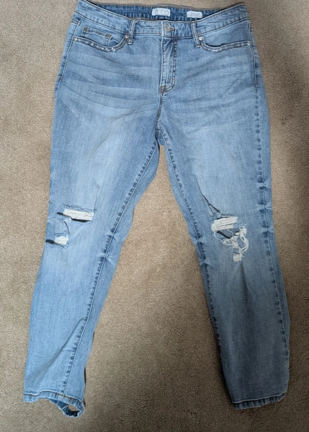 Sofia Jeans Distressed Light Wash Denim Boyfriend Jeans