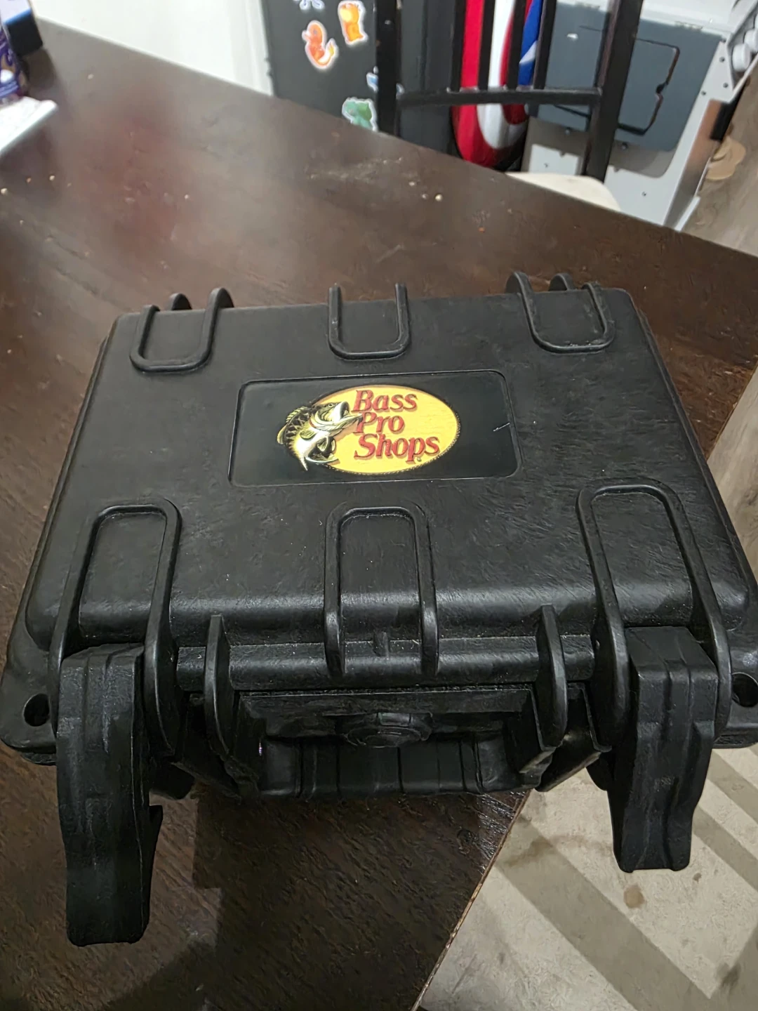 Bass pro 12v battery pack
