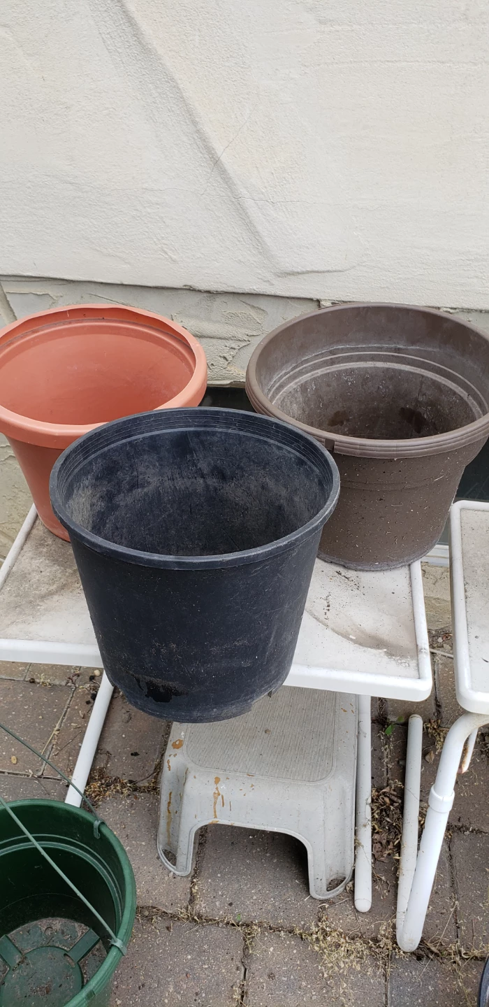 Set of 4 Plastic Pots $1 each!!!