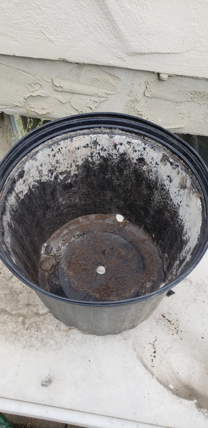 Set of 4 Plastic Pots $1 each!!! - photo 5