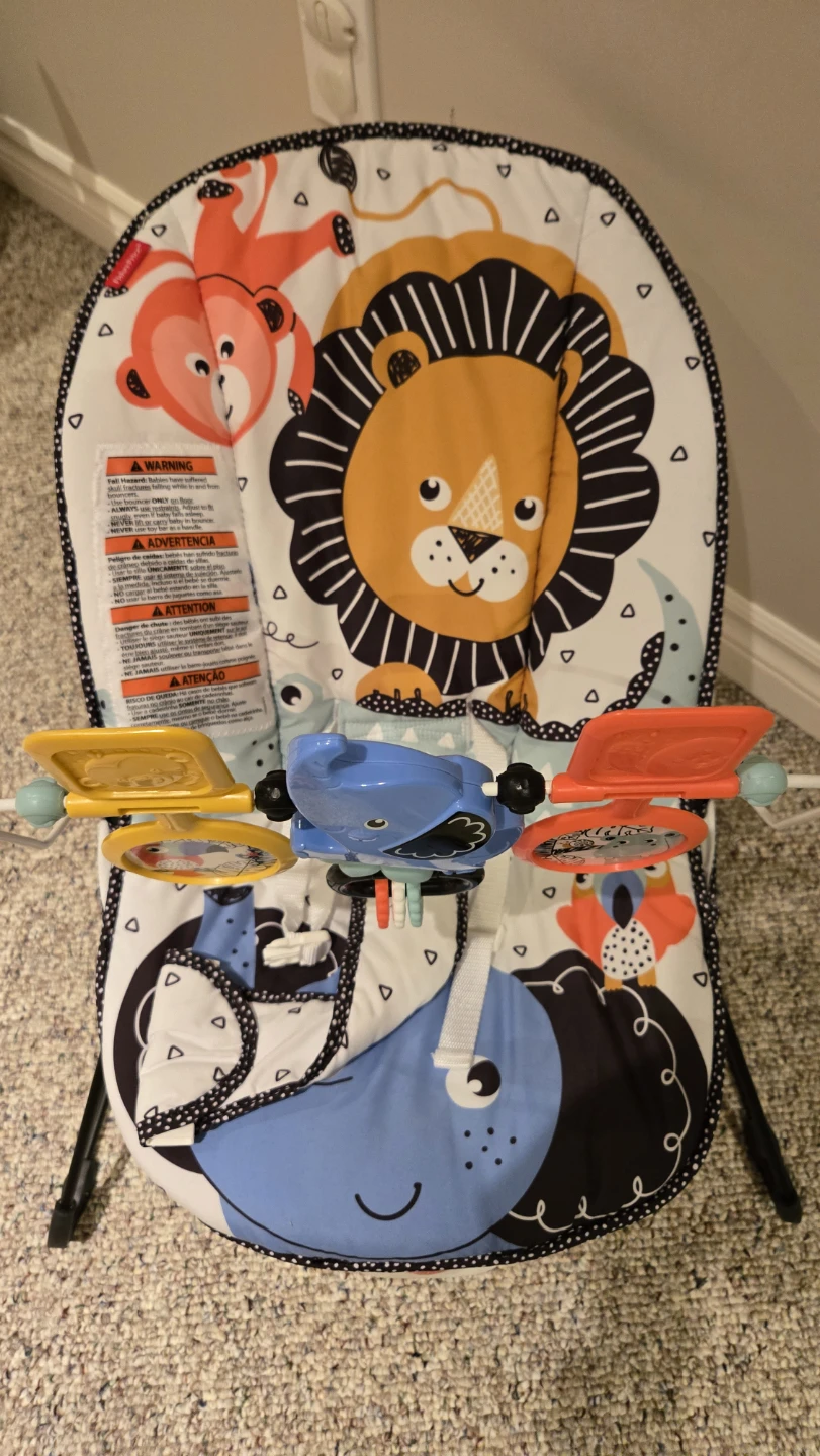 Fisher-Price Baby Bouncer Seat - photo 3