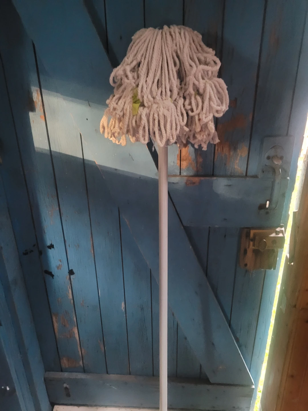 Mop