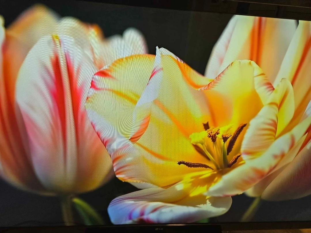 LG 55 inch google Android TV with voice assistant remote - photo 4