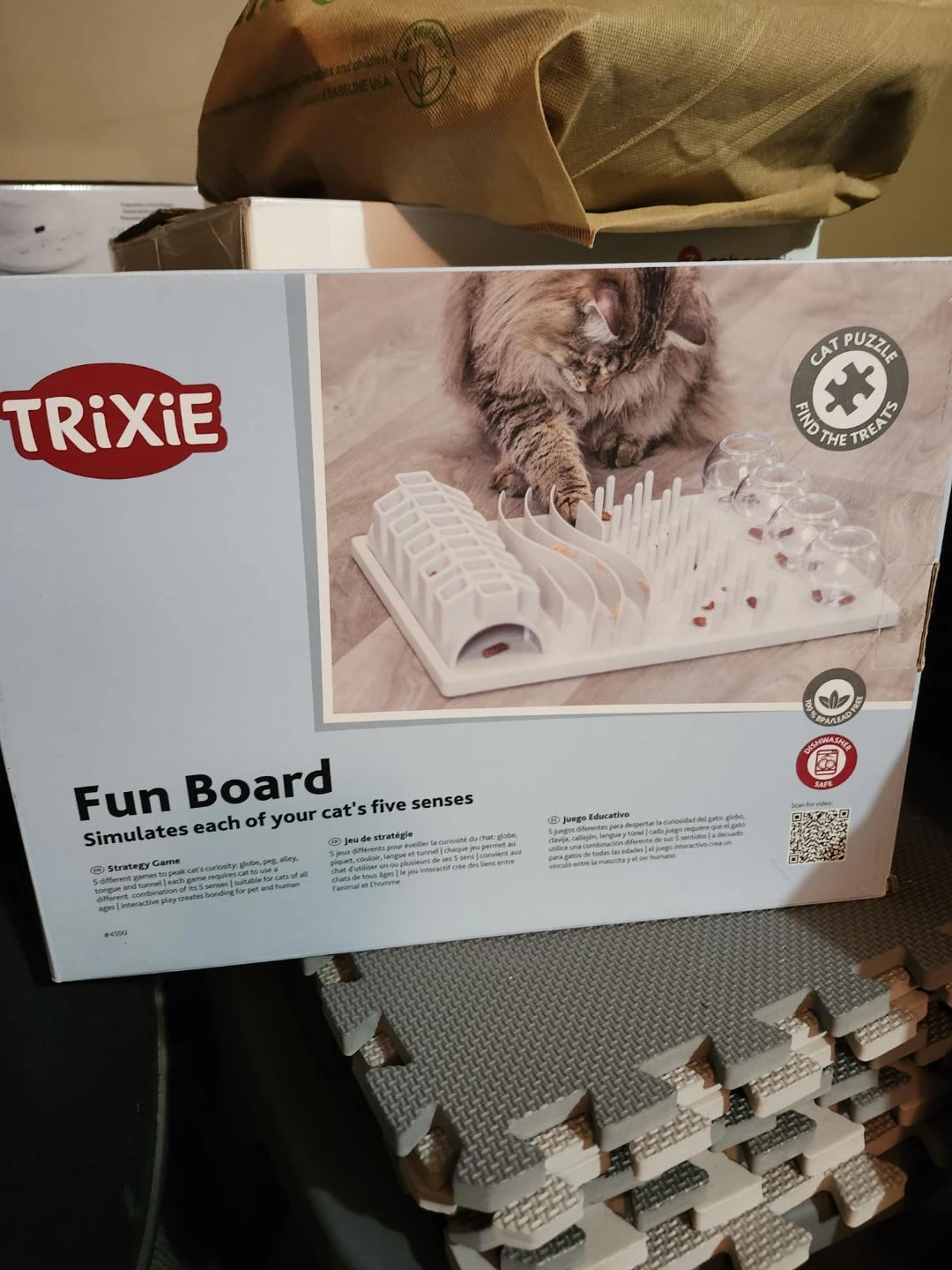 Cat fun