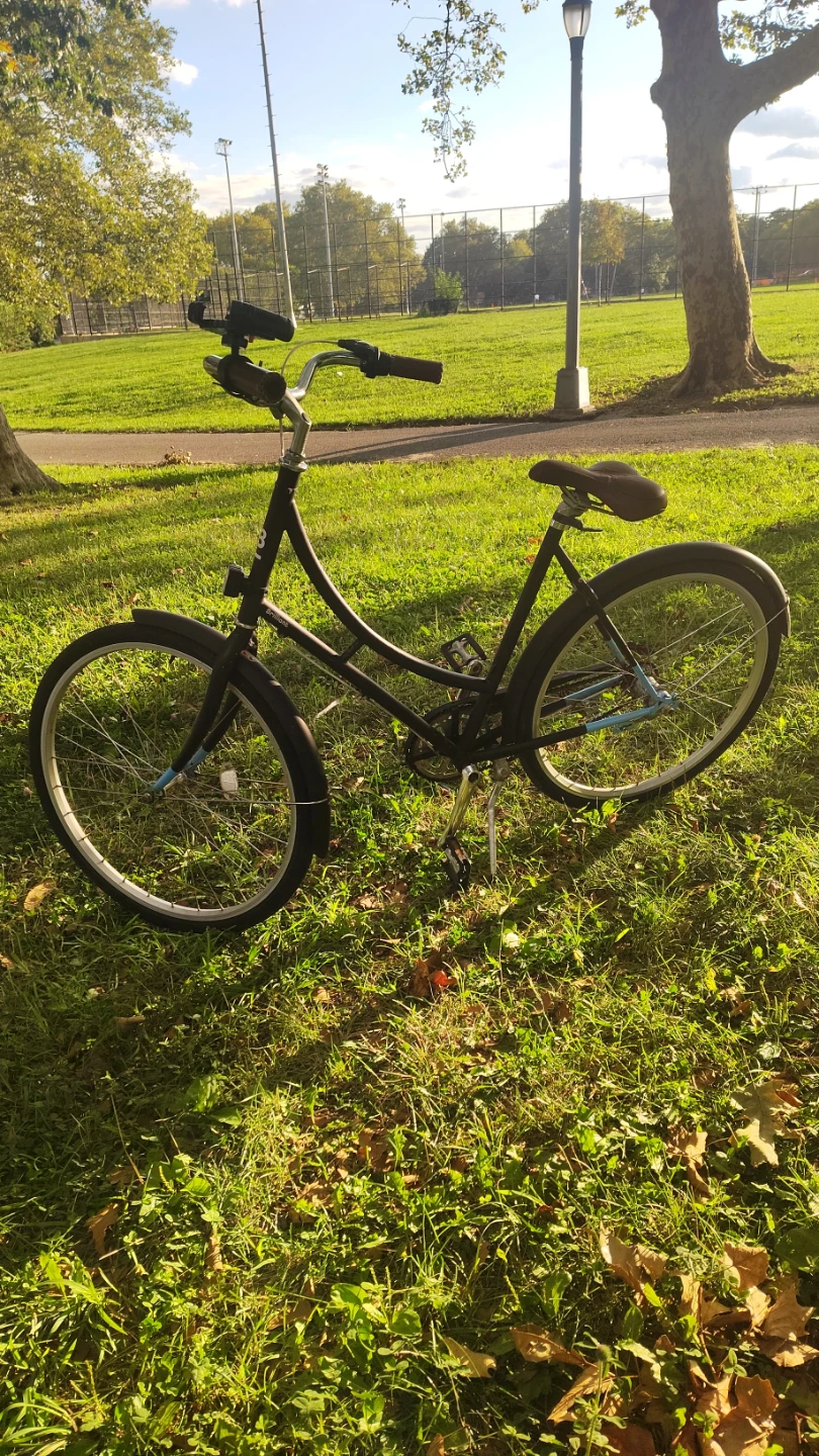 Black Cruiser Bicycle - photo 5