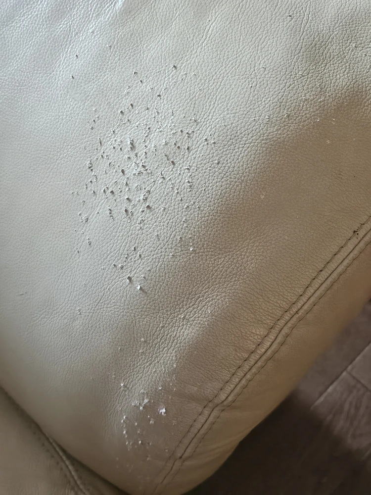 Cream Leather Armchair - photo 2