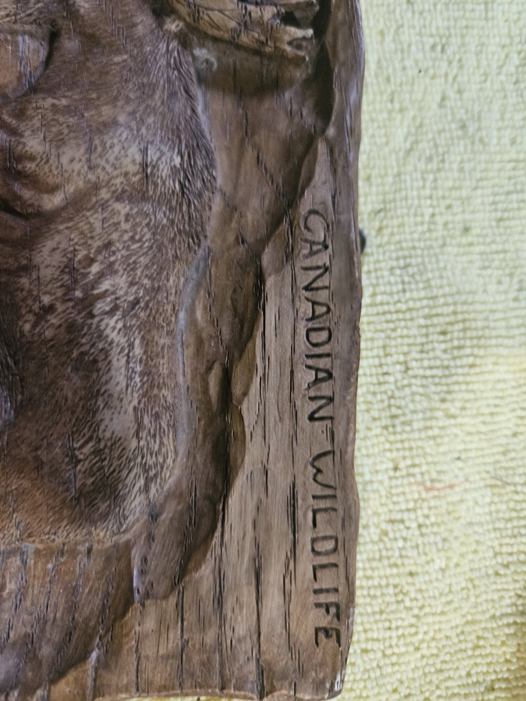 Carved Moose Canadian Wildlife Plaque - photo 4