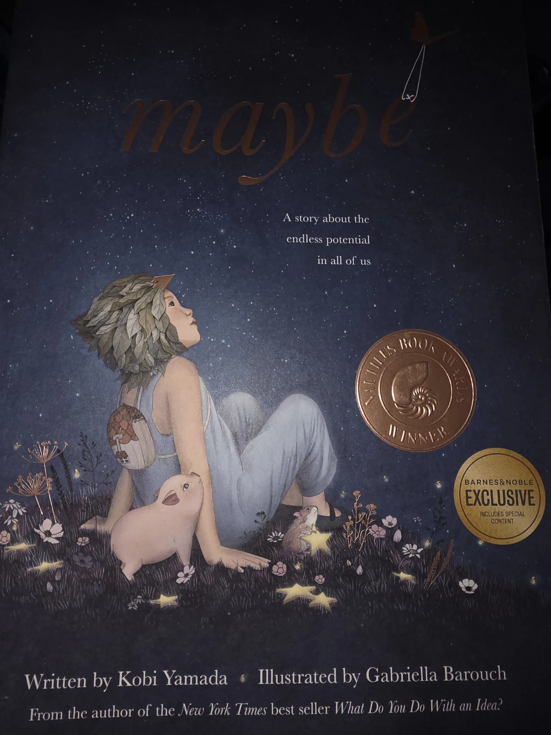 Maybe: A Story About the Endless Potential in All of Us Book