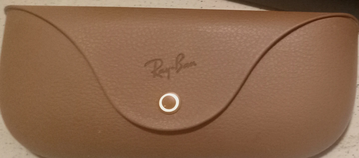 Ray-Ban  Meta Sunglasses Case