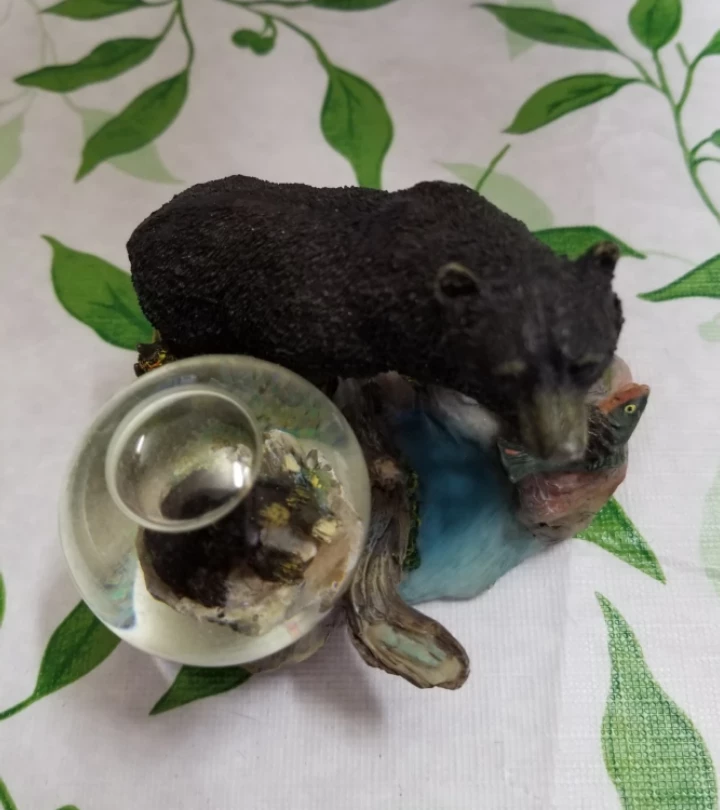 Black Bear and Fish Figurine with Glass Dome