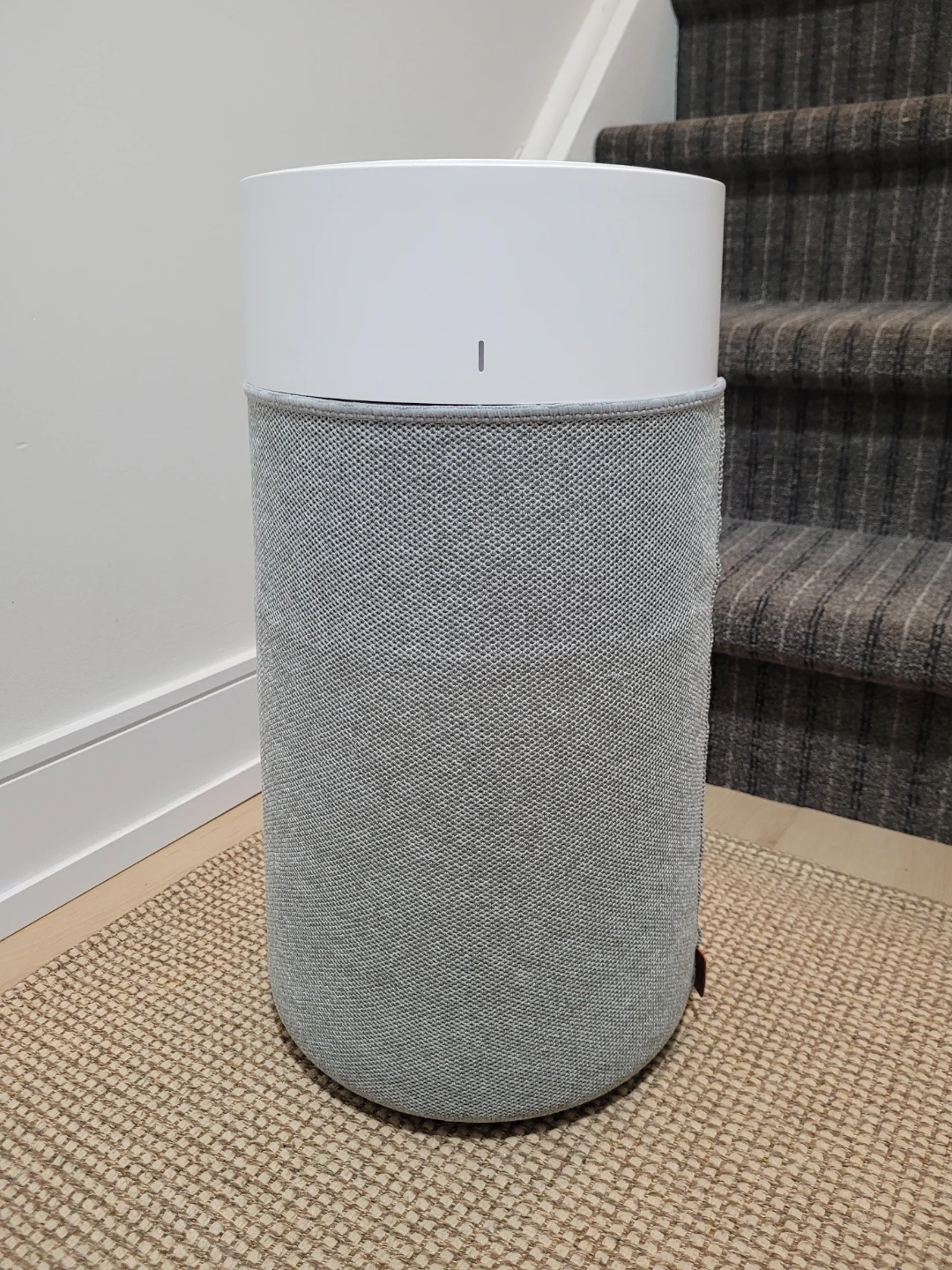 Blueair Air Purifier
