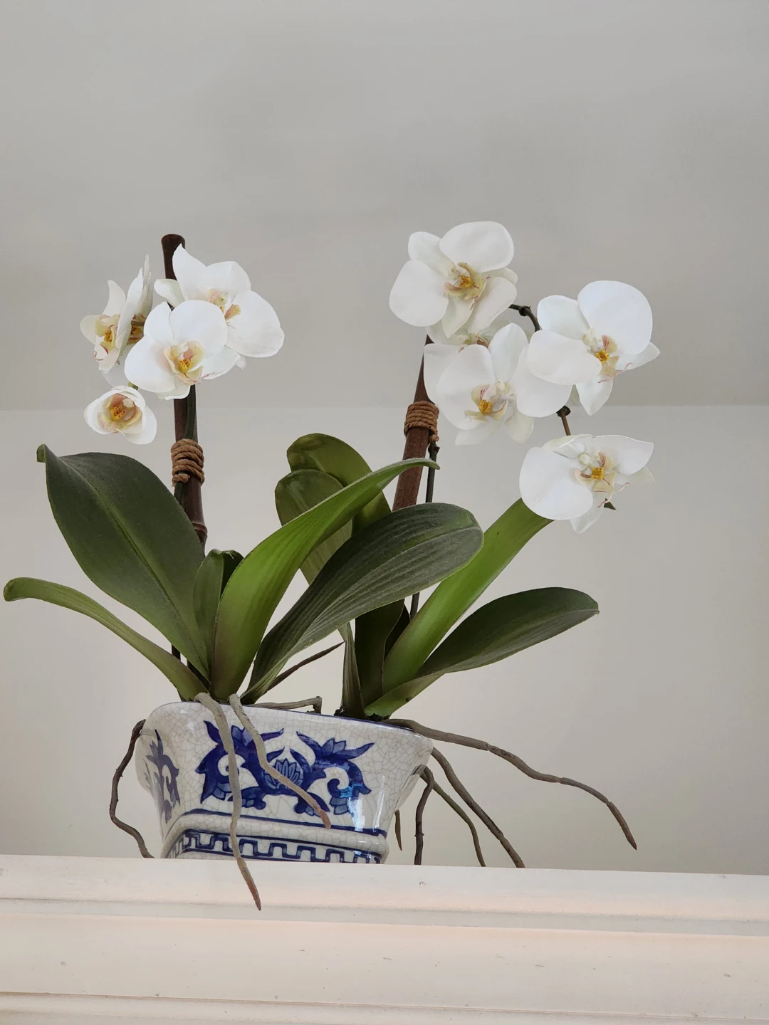 Ethan Allen:  Asian  Orchids in Ceramic Blue& White Pot - photo 3