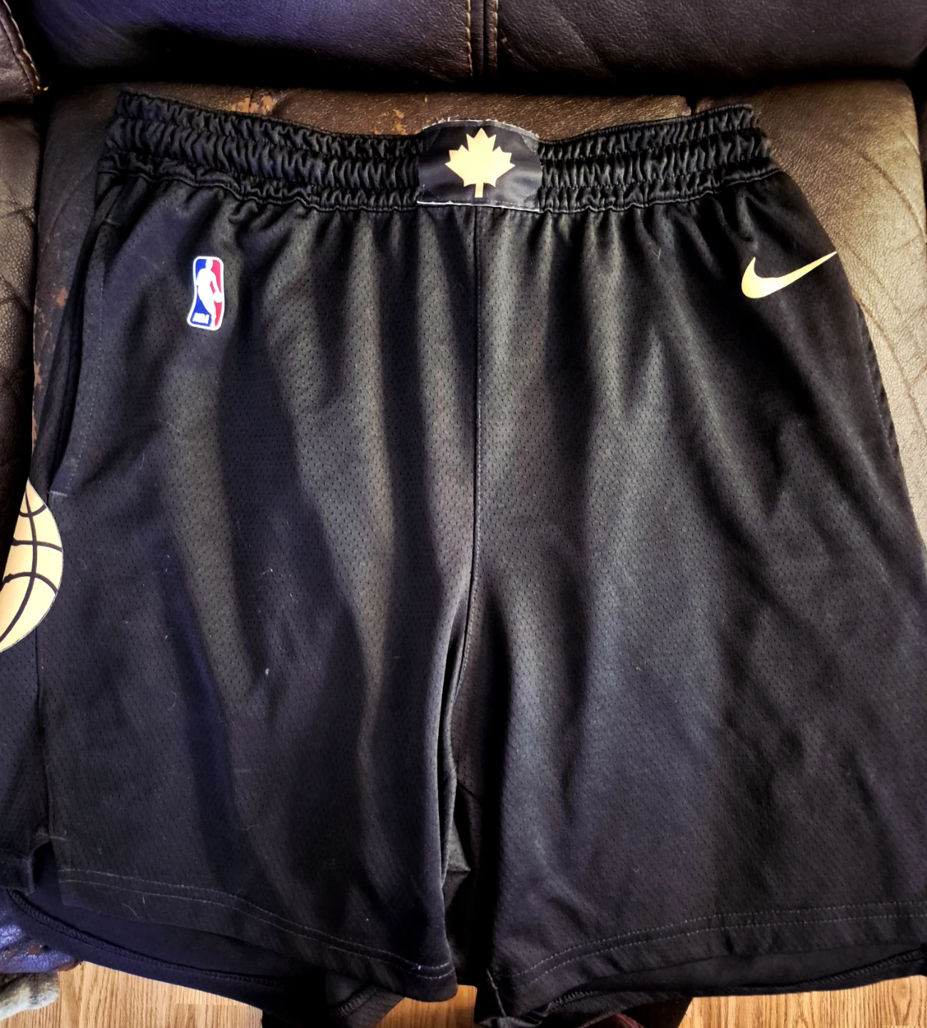 Raptors 2xl -3xl Sun City Shorts